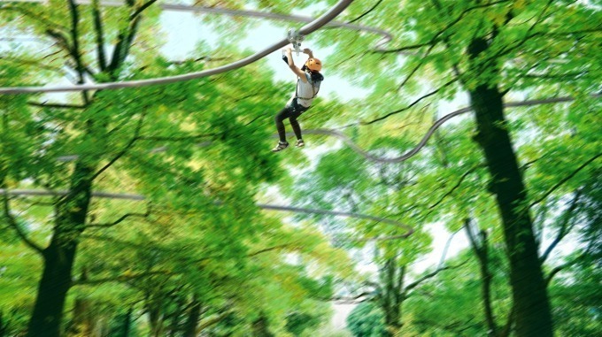 ハウステンボス 日本初の1人乗りコースター「天空レールコースター」森の中を猛スピードで駆け抜ける｜写真1
