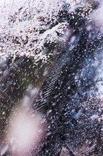 蜷川実花(Mika Ninagawa) 水の漏れないうつわ PLANT A TREE｜写真4