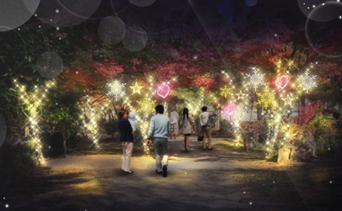 京都・梅小路公園でライトアップイベント、緑の中に約3万球の"星屑"が舞い散る｜写真1