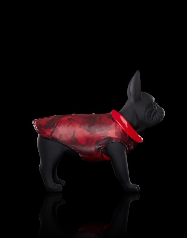 モンクレールより犬モチーフのカモフラージュ柄メンズジャケット ドッグウェア ファッションプレス