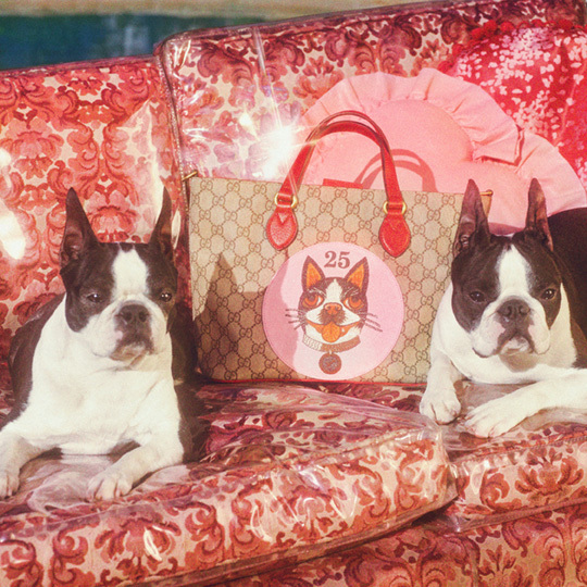 グッチから 戌年 コレクション ミケーレの愛犬を描いたウェアやシューズ バッグなど ファッションプレス