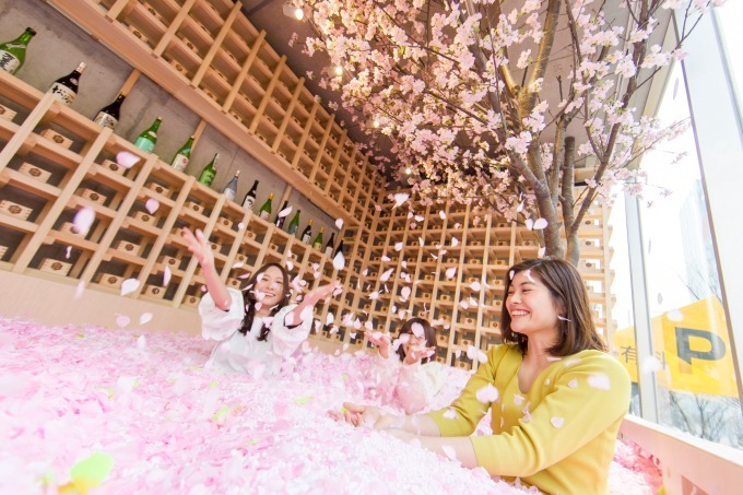 「サクラチルバー」佐賀の日本酒を飲み比べできる限定バーが佐賀に限定オープン、"桜の花びらプール"も｜写真11