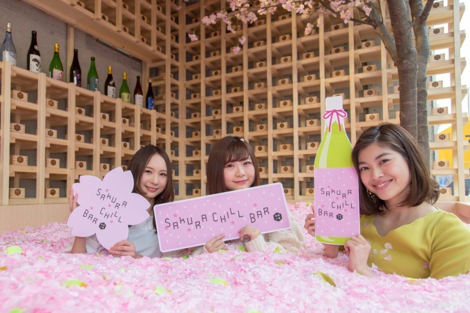 「サクラチルバー」佐賀の日本酒を飲み比べできる限定バーが佐賀に限定オープン、"桜の花びらプール"も｜写真12
