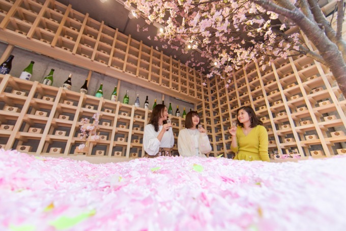 「サクラチルバー」佐賀の日本酒を飲み比べできる限定バーが佐賀に限定オープン、"桜の花びらプール"も｜写真9
