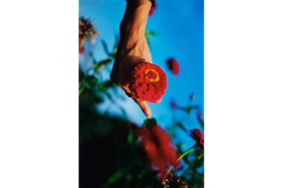 合同展｜蜷川実花が村上隆のGEISAI#16に急遽参戦決定