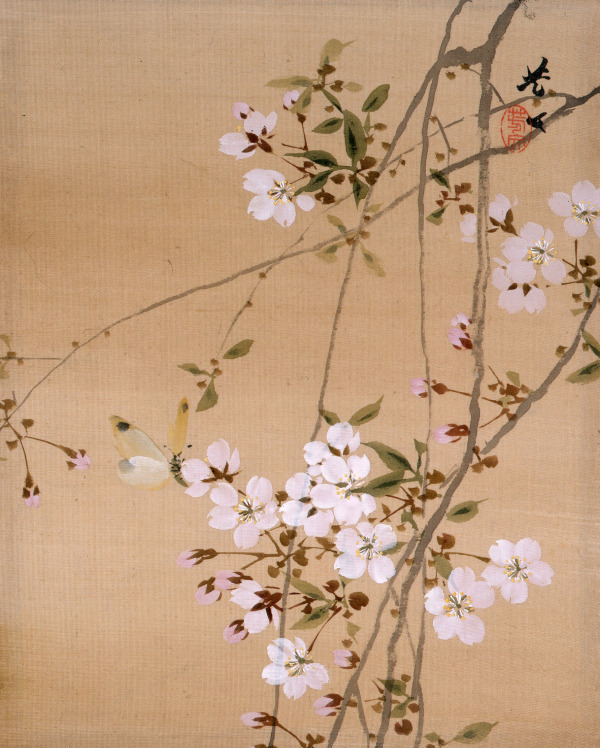 山種美術館「桜 さくら SAKURA 2018 ―美術館でお花見！―」桜題材