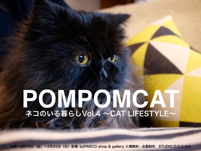 「ネコのいる暮らし展Vol.4  POMPOMCAT」青山バイパルコで、猫の映像や写真&1点物グッズ｜写真18