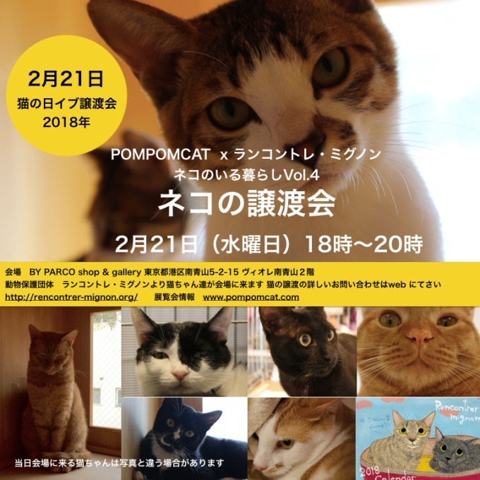 「ネコのいる暮らし展Vol.4  POMPOMCAT」青山バイパルコで、猫の映像や写真&1点物グッズ｜写真17