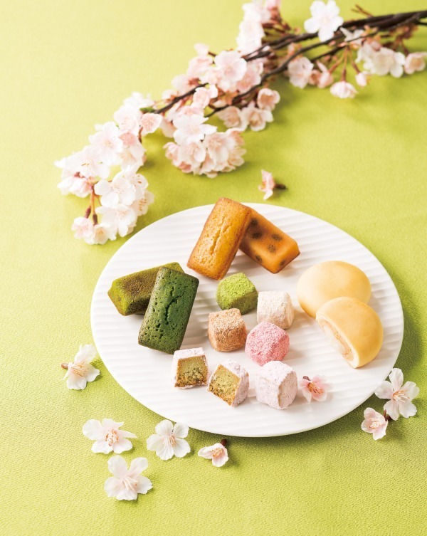 「ワビサ」春限定菓子 - ピンク色のざらめと金箔を散りばめたサクラ味のカステラ｜写真5