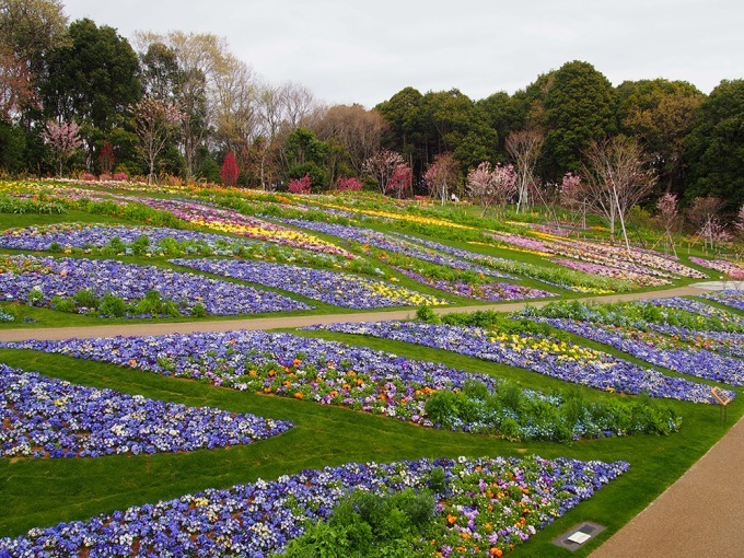 「ガーデンネックレス横浜 2018」開催、みなとみらいや山下公園が春の花々で彩られる｜写真7
