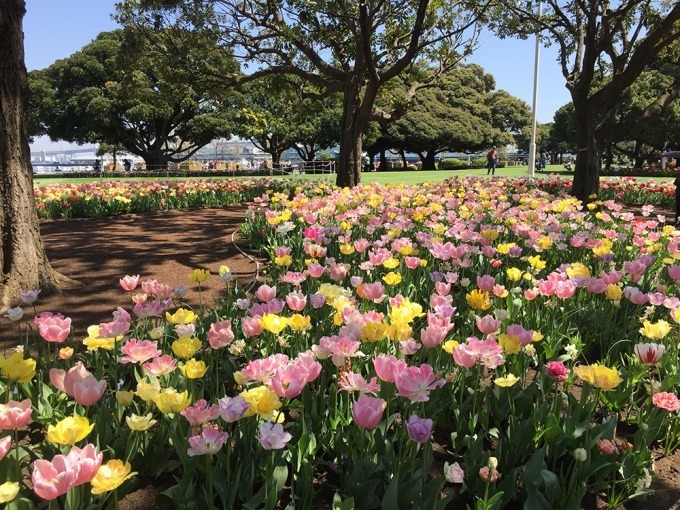 「ガーデンネックレス横浜 2018」開催、みなとみらいや山下公園が春の花々で彩られる｜写真4