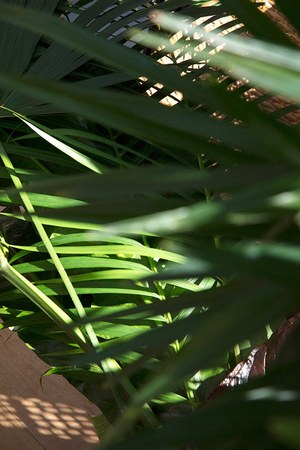 スライ(SLY) 2018年春夏ウィメンズコレクション  - 写真5