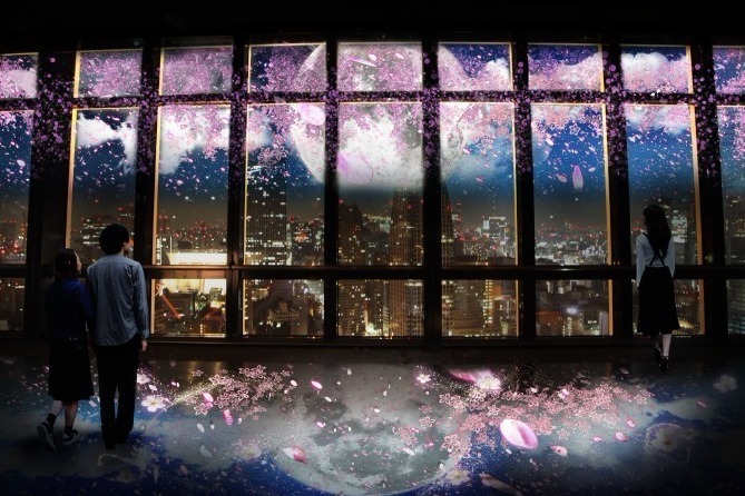お花見｜東京タワーで夜桜を鑑賞「ネイキッド」が手掛ける桜×夜景のプロジェクションマッピング