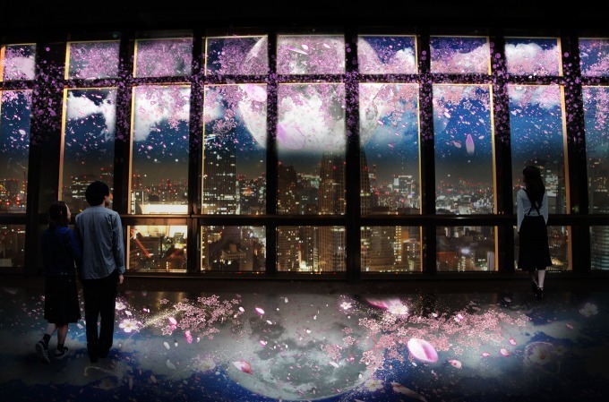東京タワーで夜桜を鑑賞「ネイキッド」が手掛ける桜×夜景のプロジェクションマッピング｜写真1