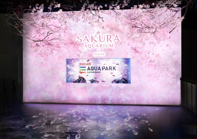 「サクラアクアリウム バイ ネイキッド」マクセル アクアパーク品川で、360度桜空間のイルカショー｜写真5