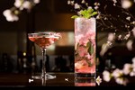 「桜カクテル」桜の塩漬けを浮かべて桜吹雪を再現、ザ・キャピトルホテル 東急で限定販売