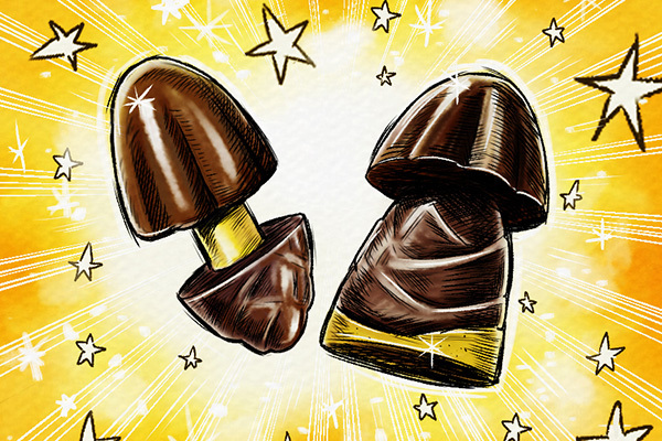 WEB｜「きのこの山・たけのこの里 国民総選挙」勝利のたけのこ党"吉田沙保里もとろけるキャラメル味"発売