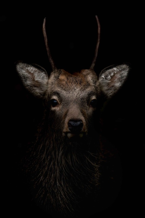 ヨウジヤマモトの「グラウンド ワイ」から写真家・井上浩輝とのコラボカットソー登場｜写真7