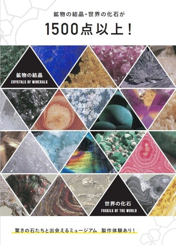 兵庫県最大の石の博物館「玄武洞ミュージアム」が刷新、化石など4,000点余りを収蔵する観光施設へ｜写真11