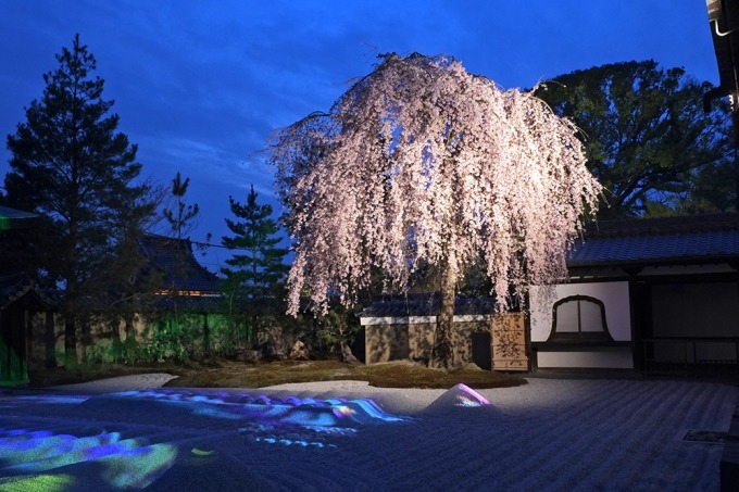 「春の特別拝観」