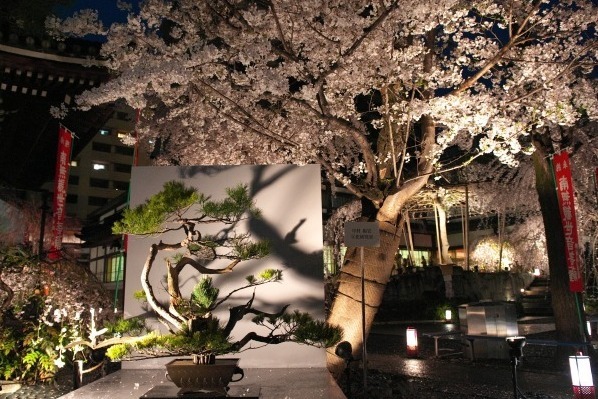 「六角堂 夜の特別拝観」