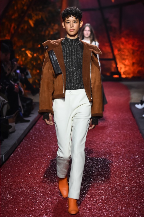 エルメス(HERMÈS) 2018-19年秋冬ウィメンズコレクション シルエット - 写真40