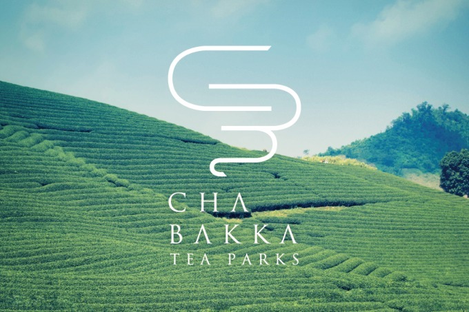 日本茶専門店「CHABAKKA TEA PARKS」が鎌倉に、ビールのように注ぐ日本茶｜写真6
