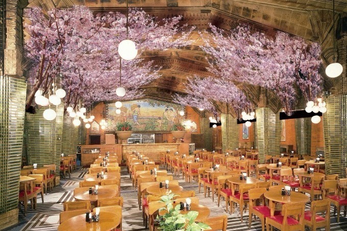 お花見｜「お花見ビヤホール」ビヤホールライオン 銀座七丁目店で - “桜”が店内に登場、屋内で手軽に花見