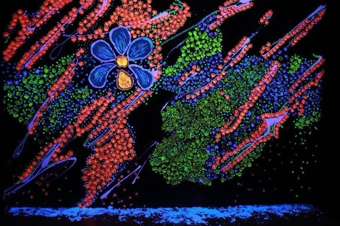 「世界一きれいなスイーツ展」