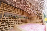 "桜"イベント2018 - お花見やライトアップで楽しむ夜桜などを特集｜写真5
