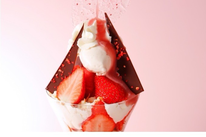 ショコラティエ パレドオール