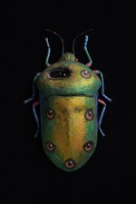 片桐仁の不条理アート粘土作品展「ギリ展」静岡・浜松でツアーファイナル開催｜写真1