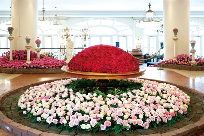 長崎・ハウステンボスで「2,000品種120万本のバラ祭」バラの絶景が楽しめるカフェも｜写真17