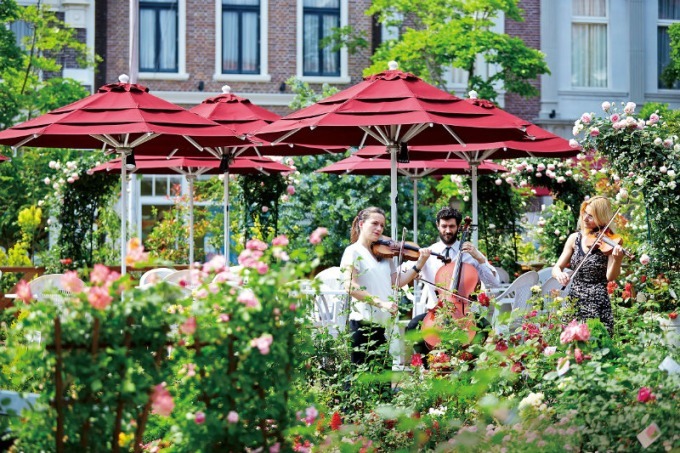 長崎・ハウステンボスで「2,000品種120万本のバラ祭」バラの絶景が楽しめるカフェも｜写真16