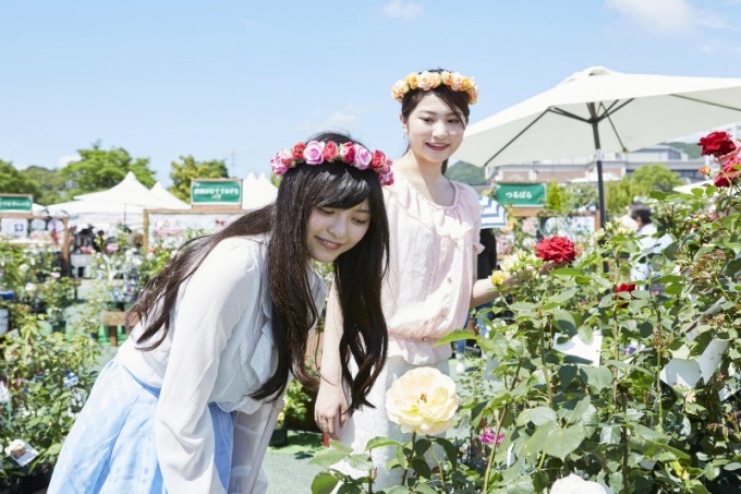 長崎・ハウステンボスで「2,000品種120万本のバラ祭」バラの絶景が楽しめるカフェも｜写真23