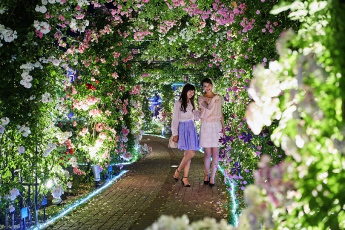 長崎・ハウステンボスで「2,000品種120万本のバラ祭」バラの絶景が楽しめるカフェも｜写真7