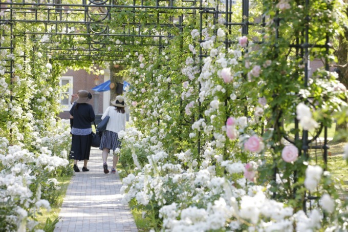 長崎・ハウステンボスで「2,000品種120万本のバラ祭」バラの絶景が楽しめるカフェも｜写真19