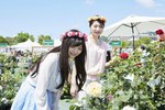 長崎・ハウステンボスで「2,000品種120万本のバラ祭」バラの絶景が楽しめるカフェも｜写真23