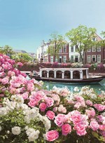 長崎・ハウステンボスで「2,000品種120万本のバラ祭」バラの絶景が楽しめるカフェも｜写真8