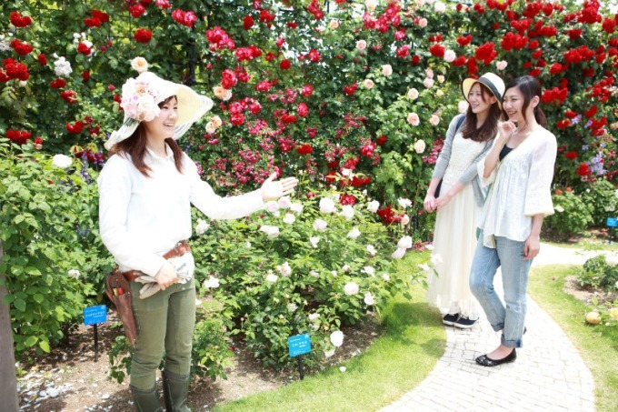 長崎・ハウステンボスで「2,000品種120万本のバラ祭」バラの絶景が楽しめるカフェも｜写真24
