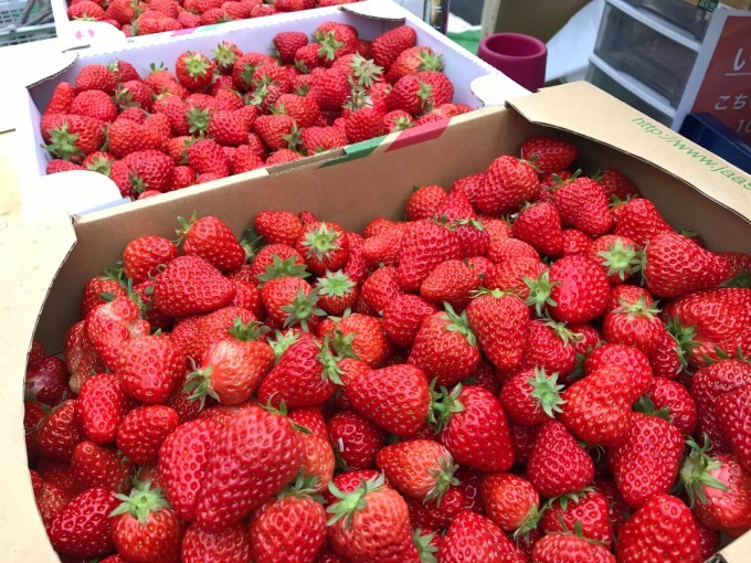 赤坂アークヒルズで苺マルシェ - 産地直送の新鮮イチゴや加工品販売、“利きイチゴ”も｜写真2