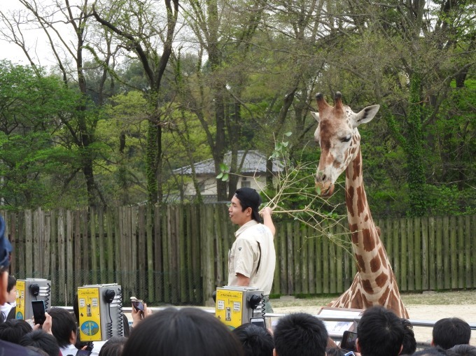 けものフレンズ×東武動物公園、キャラクターパネル展示や山下まみら声優による園内放送も｜写真3