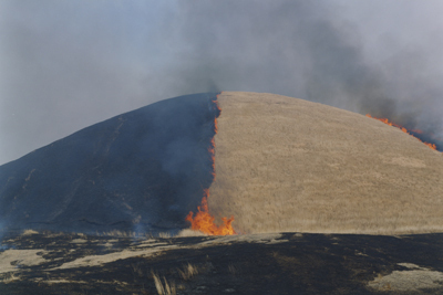 「照度 あめつち 影を見る」