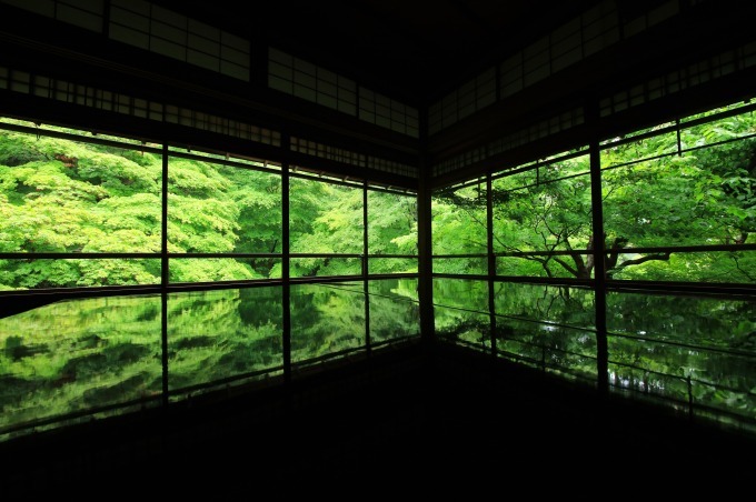 京都 瑠璃光院で初の 青もみじ ライトアップ 通常非公開の人気寺院で楽しむ初夏の京都 ファッションプレス