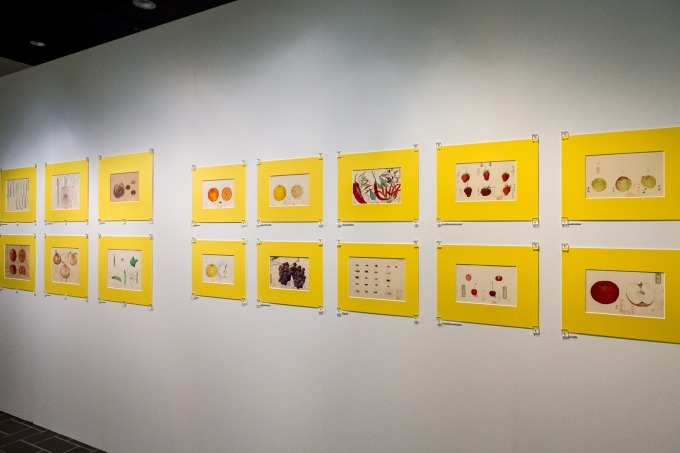 「BENTO おべんとう展」東京都美術館で、お弁当が生むコミュニケーションに注目した参加体験型アート｜写真12