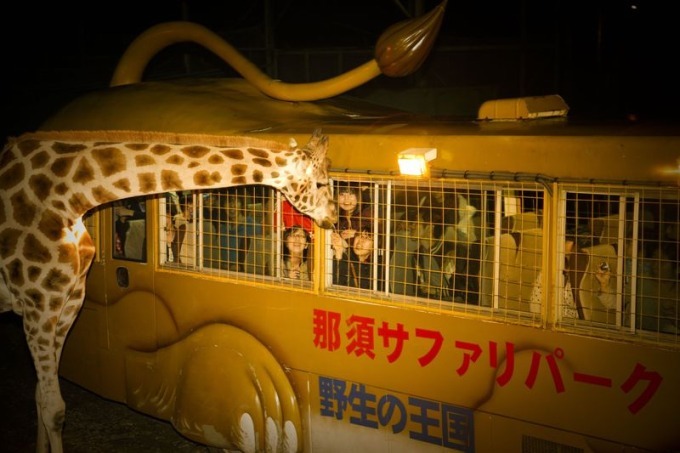「ナイトサファリ」暗闇から現れる野生動物＆草食動物にエサやり体験、那須サファリパークで｜写真3