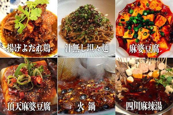 四川料理｜「四川フェス2018」新宿中央公園で開催 - 本場四川の味が集結
