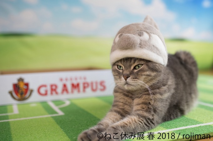 「ねこ休み展 春 2018」名古屋で開催、スター猫の立体彫刻やグランパスくんとのコラボアート｜写真11