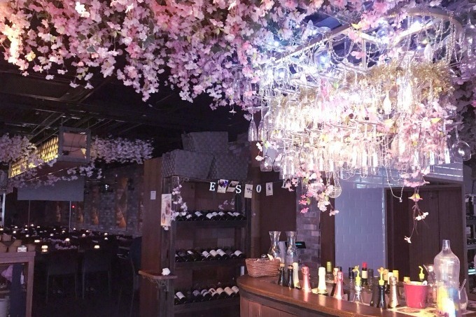 お花見｜「桜キャンドルナイト」渋谷で開催 - 桜3000本の中でインドア花見、時間無制限で飲み放題