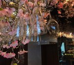 「桜キャンドルナイト」渋谷で開催 - 桜3000本の中でインドア花見、時間無制限で飲み放題｜写真5
